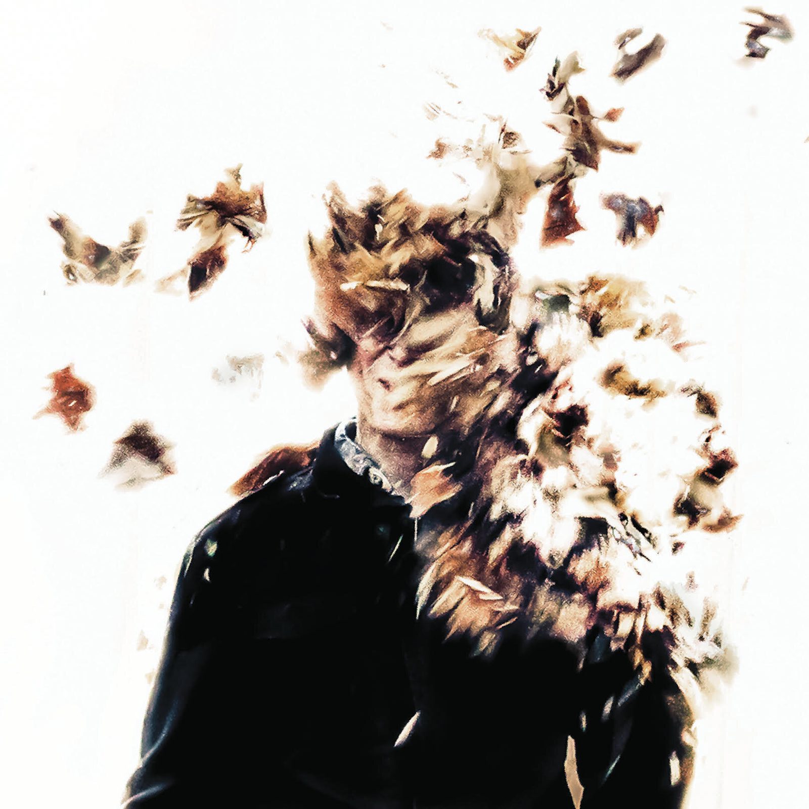 Whorls cover